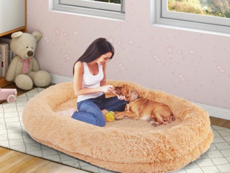 Washable Fluffy Human Dog Bed with Soft Blanket and Plump Pillow-Brown Online now