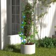 3-Pack Garden Trellis 40  60  Tall Plant Support Stands with Clips and Ties-M Online Sale