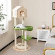 55 Inch Tall Cat Climbing Stand with Sisal Scratching Posts and Soft Cat Bed for Indoor Kittens-Green Hot on Sale